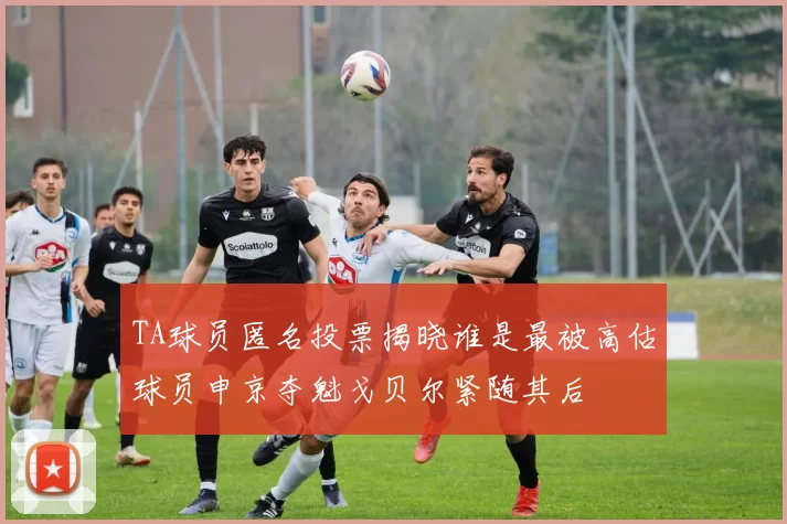 TA球员匿名投票揭晓谁是最被高估球员申京夺魁戈贝尔紧随其后