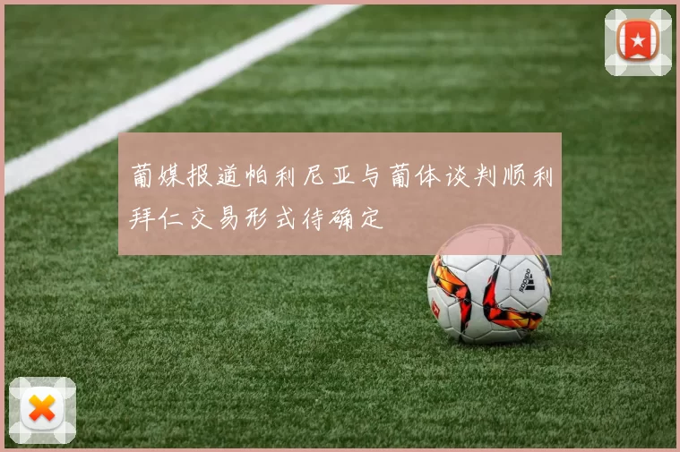 葡媒报道帕利尼亚与葡体谈判顺利拜仁交易形式待确定